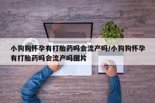 打胎药专卖微信小狗狗怀孕有打胎药吗会流产吗/小狗狗怀孕有打胎药吗会流产吗图片