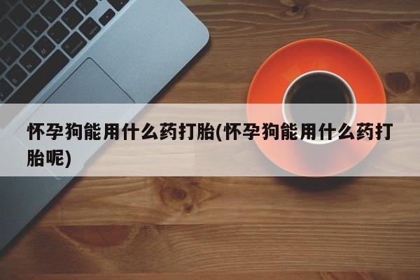 打胎药专卖微信怀孕狗能用什么药打胎(怀孕狗能用什么药打胎呢)